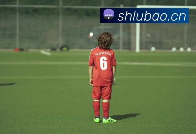 kaiyun官方平台平台生态图